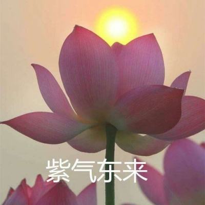 逍遥春秋ol官方版下载